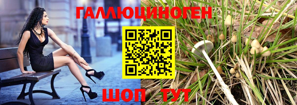 Псилоцибиновые грибы MAGIC MUSHROOMS  Галлюциногенные грибы Psilocybine cubensis  цены   Звенигород  Вход с VPN 